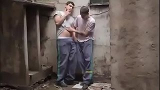 Смазливый строитель вздрочнул и отсосал коллеге на перекуре